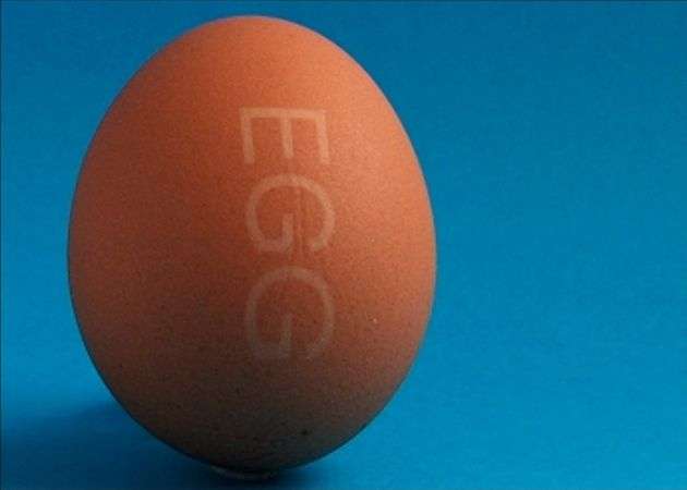 laser marking of egg shell