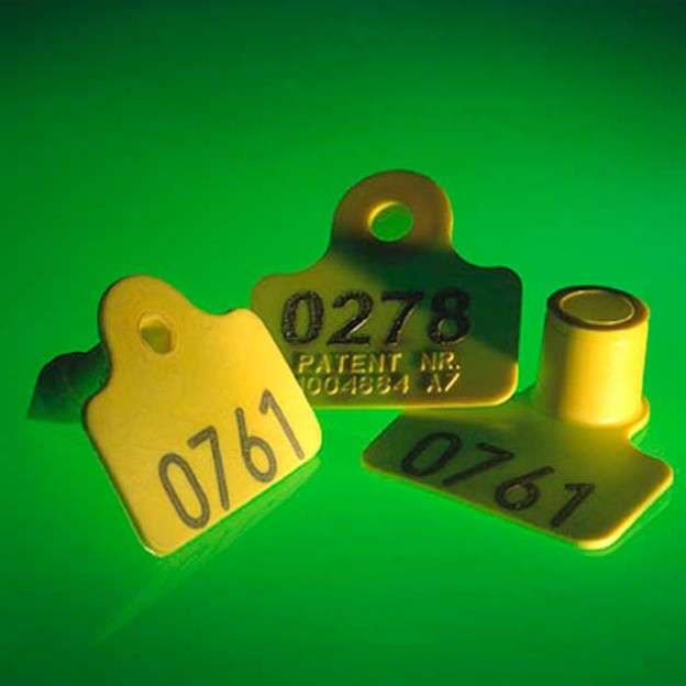Laser marking of Animal Ear Tag