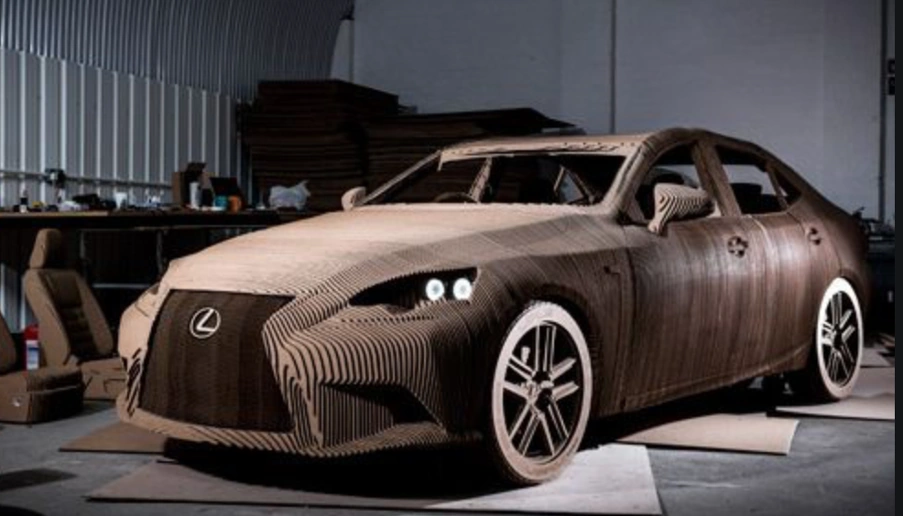 Large Scale Cardboard 3D profile model